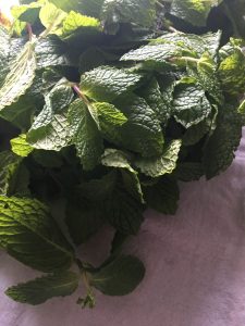 Organic Mint Leaves
